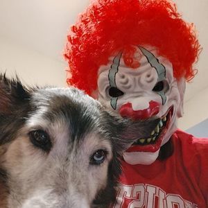 Meet your Posher, Mario